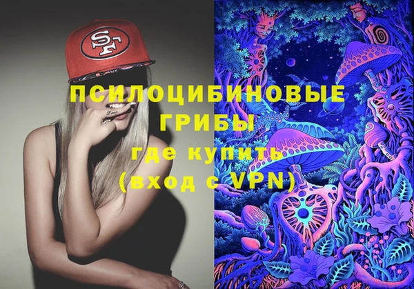 PSILOCYBIN Балабаново