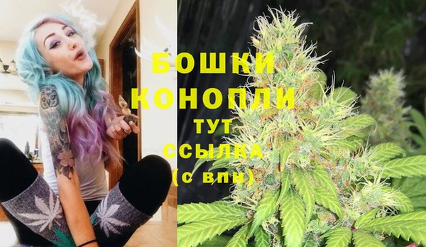 трава Балахна