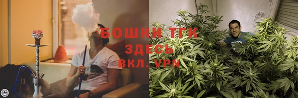 трава Балахна