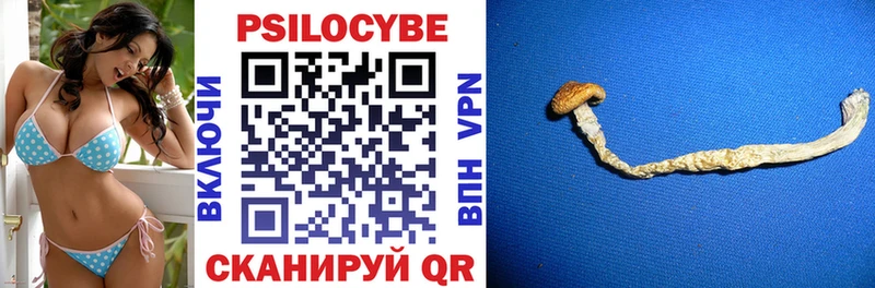 Псилоцибиновые грибы прущие грибы  где найти наркотики  Ефремов 